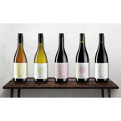 Degustations-Set «PINOT NOIR IN FARBE»