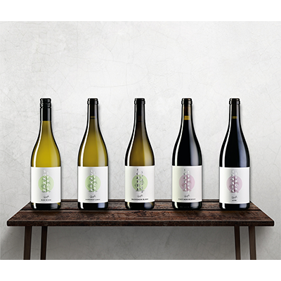 Degustations-Set «SONNENSPROSS»