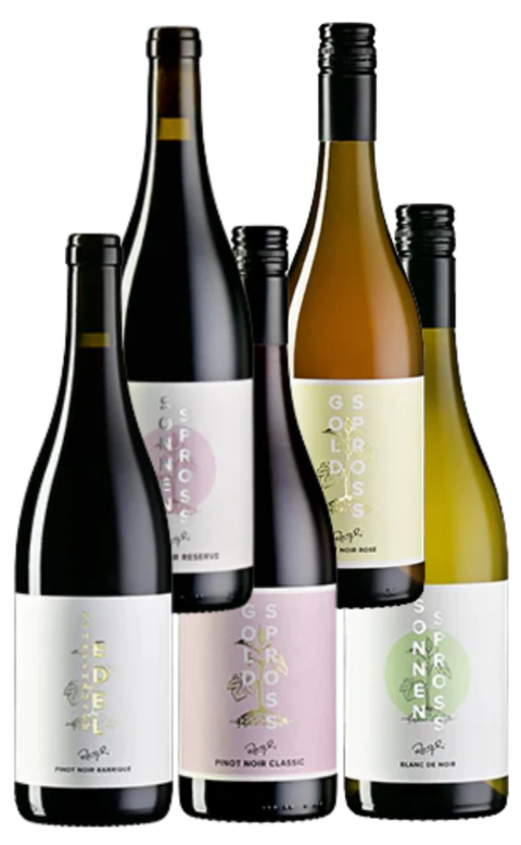 Degustations-Set «PINOT NOIR IN FARBE»