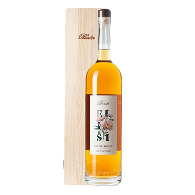Berta Grappa Elisi