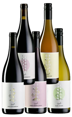 Degustations-Set «PINOT NOIR IN FARBE»