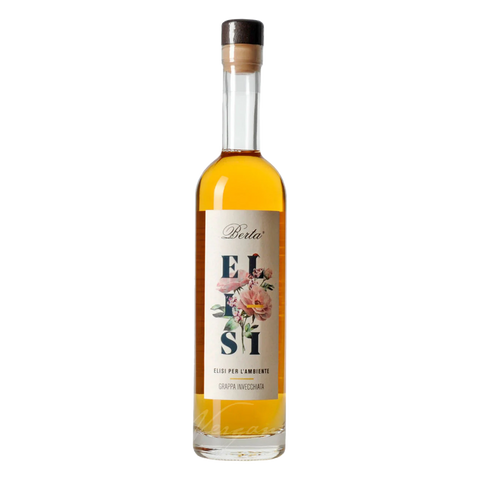 Berta Grappa Elisi