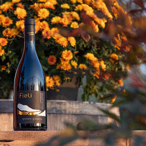 Fieli - Carignano Isola dei Nuraghi IGT, Vigneti Zanatta
