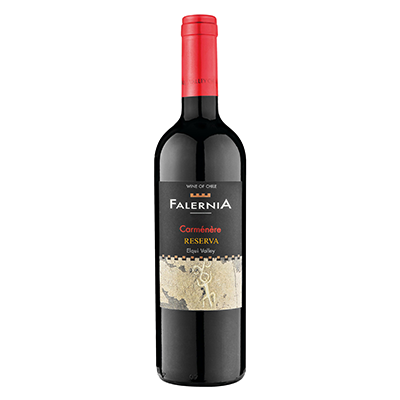 Carmenère Reserva - D.O. Elqui Valley, Falernia